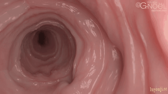 ✡【3D/全动态】试着给每天经过家门口的JK送奇怪玩具，然后嘿嘿【超逼真/全CV/1.5G】-中文绅士游戏下载啊,黄游,色情手机游戏,绅士漫画,里番