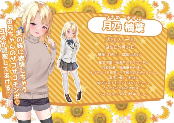 【安卓/PC/2G/RPG】妹妹的夏日生活 汉化解锁版 PC+安卓 养成RPG游戏+CV+2G+补