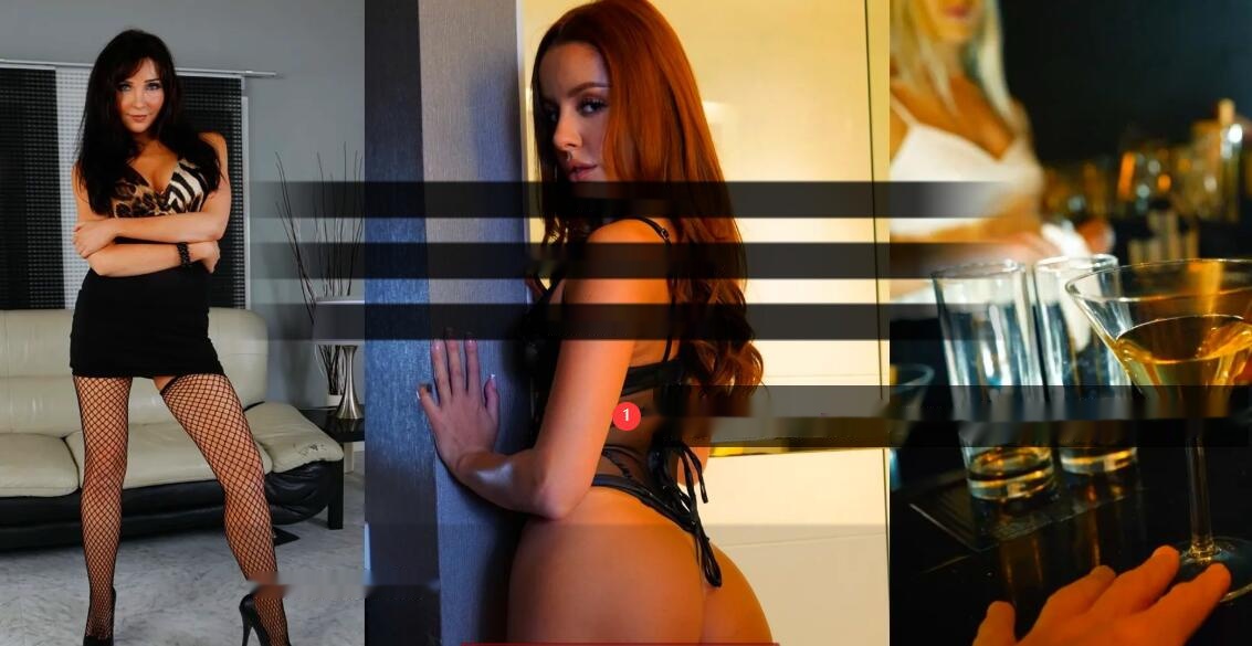 【SD/真人SLG/汉化】本机构 The Agency Part1-3 双端精翻汉化版【11G】