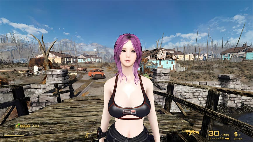 辐射4:废土后宫V2.0超魔改稳定绅士整合版/Fallout 4 MOD（集成超多邪恶内容应有尽有+人物美化+骨骼更改+额外换装+模型替换+全NPC整容+动画扩展）