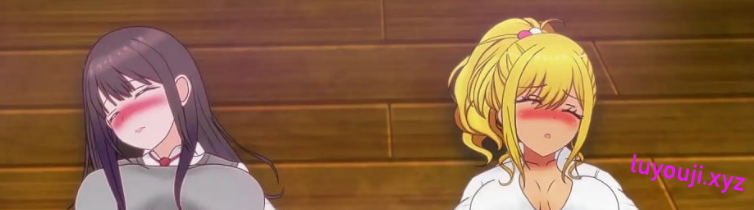 【PC/AI汉化/日式/RPG游戏/2.4G】艾瑞卡的逃亡 （ERIKA’s Runaway）Ver1.00 日式RPG游戏+2.4G