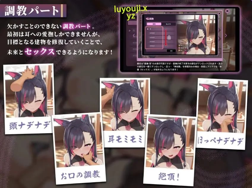 【PC/官中/精品/SLG游戏/9.0G】 妖狐的深夜直播 （Mirai’s Midnight Stream）Ver26.08.22 官中步兵版+存档+精品SLG游戏+9.0G