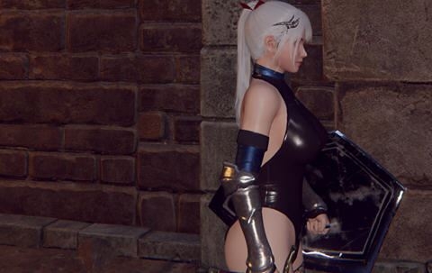 [ACT/汉化] 地下城的女骑士 地下城の女騎士 官方中文步兵版+存档 3.3G-中文绅士游戏下载,黄游,色啊情手机游戏,绅士漫画,里番