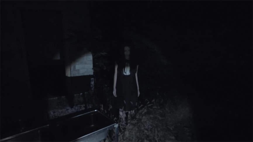 离魂界:校怨/Undead Realm:Ego(V250113+集成迷雾校园+黑暗回声+Build.16950725升级档)