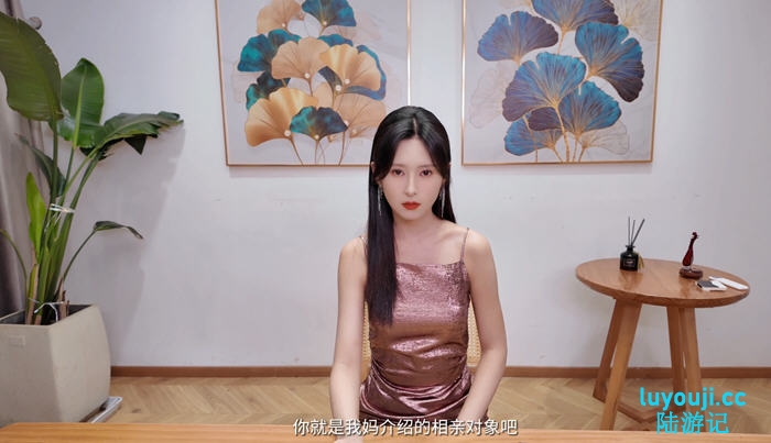 相亲攻略:宝贝别再选我了 国语配音中文版+全DLC 真人影视互动游戏 18G