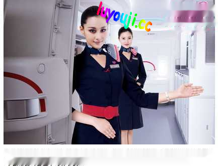 【奇怪同人/中文】极乐神教/私立高校/国际航班：等全明星同人13部大合集！【新作/1G】