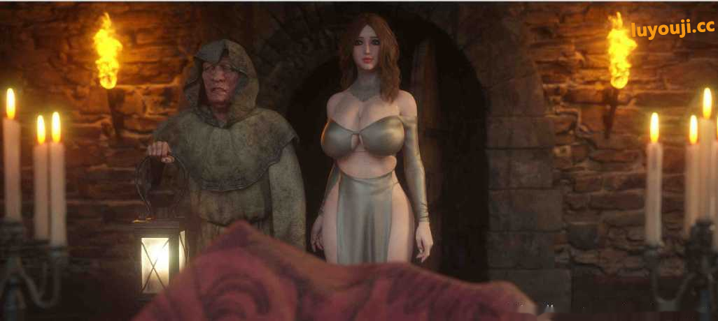 探索绅士游戏的新高度——全彩3D大作Fallen Lady1-4【800M】