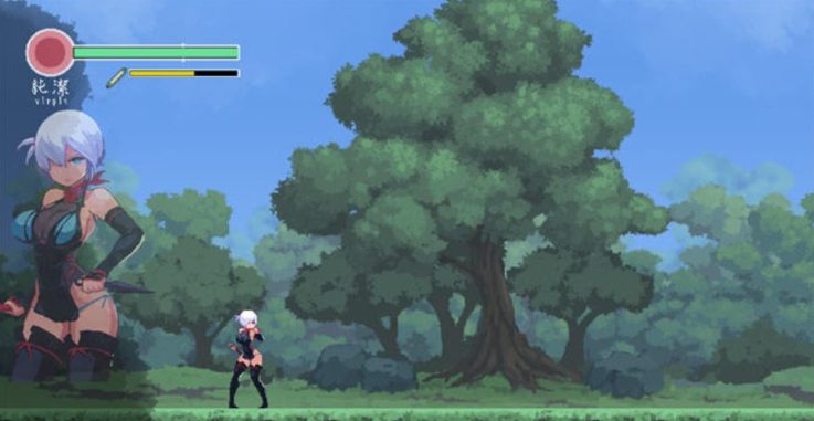 【PC/像素/ACT游戏/370M】复仇的夜雾(復讐の夜霧) V2023.8.31 动作确认版+像素ACT游戏+370M+补