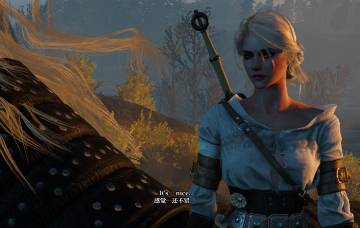 巫师3:狂猎 v1.31 豪华中文超级MOD整合版+所有DLC+解压既玩+魔改 70G