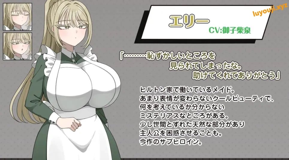 【PC/AI汉化/日式/RPG游戏/1.10G】伯爵府事件簿 -交错的两种意图（伯爵屋敷の事件簿 -交錯する二つの思惑）AI汉化版+全回想存档+日式RPG游戏+1.10G
