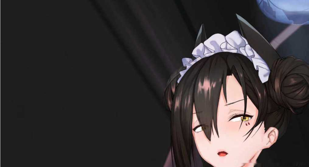 探秘绅士游戏的魅力【2.5D/动画】Rinhee 少女前线/M37+Live2D/贝尔法斯特/格琳娜/破坏者等【2G】