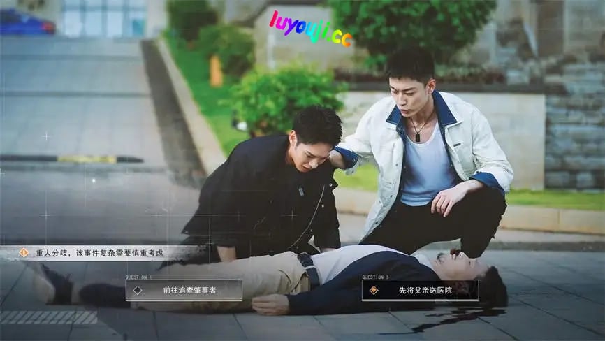 逆光迷途/Lost In Dark Light(V3560+集成Build.11076889升级档+中文语音)