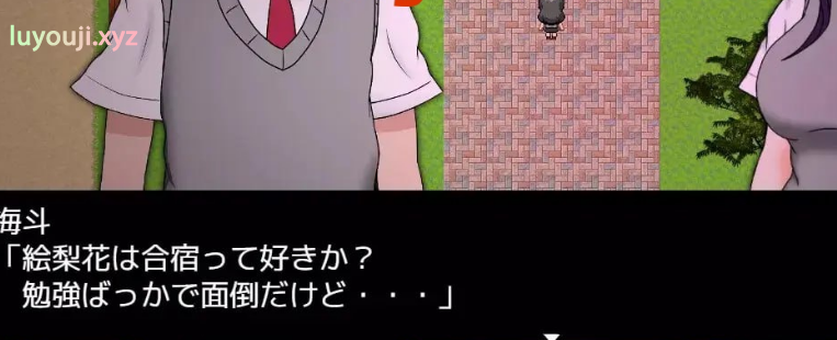 【PC/AI汉化/日式/RPG游戏/2.4G】艾瑞卡的逃亡 （ERIKA’s Runaway）Ver1.00 日式RPG游戏+2.4G