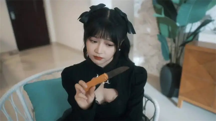 甜心AI追捕计划/Love Chase（V1.0.0.05191504-重要更新+集成增强4K扩展包+全DLCs+Build.14627573升级档+中文语音)